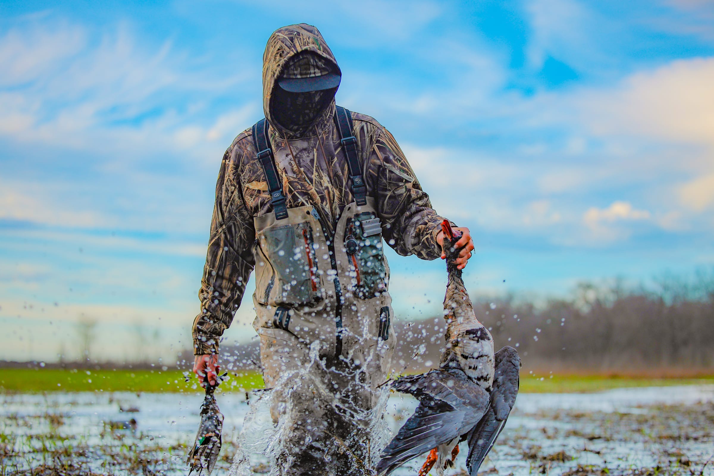 Goose splashing in water