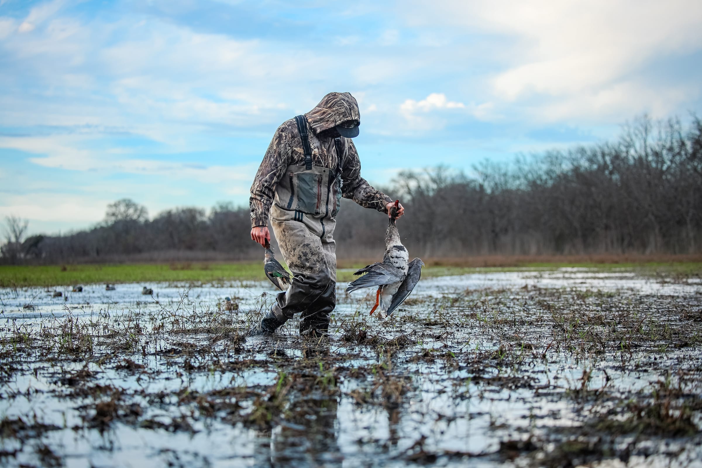 Masked person wading in shallow water hunting geese