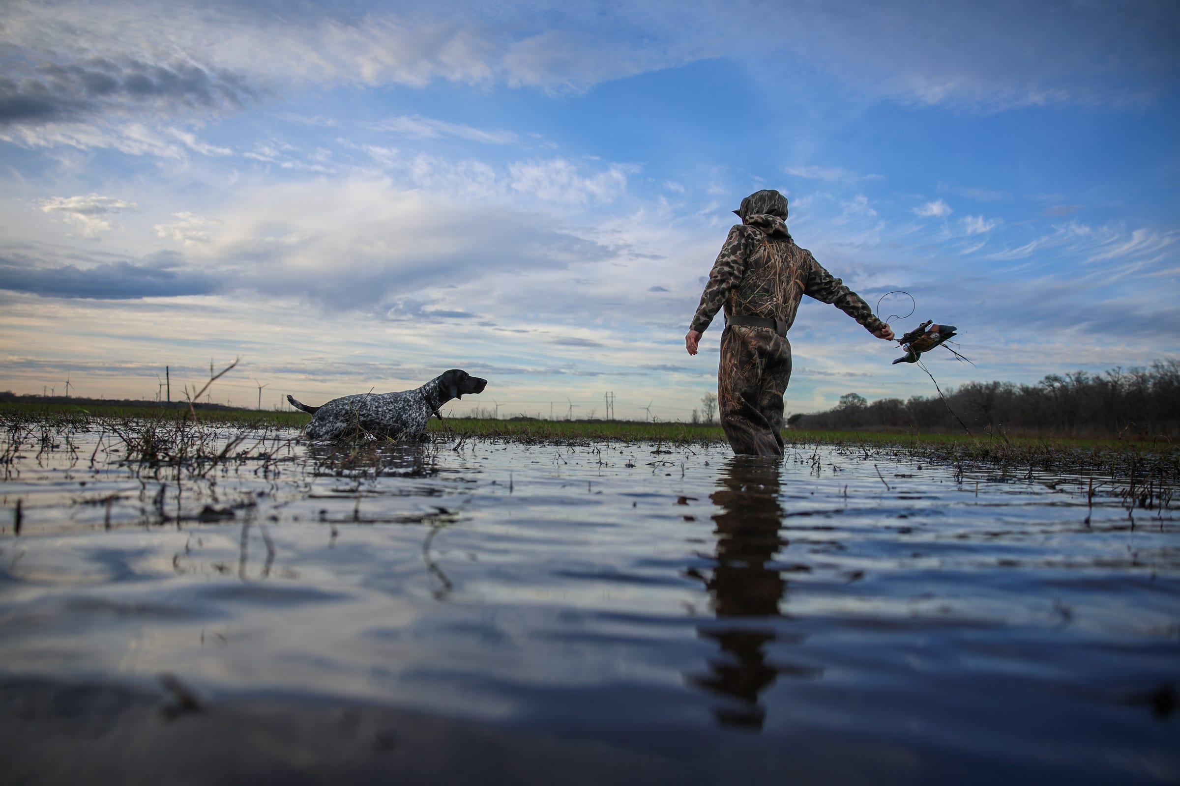 Hunter wading through flooded field with dog, dramatic sky