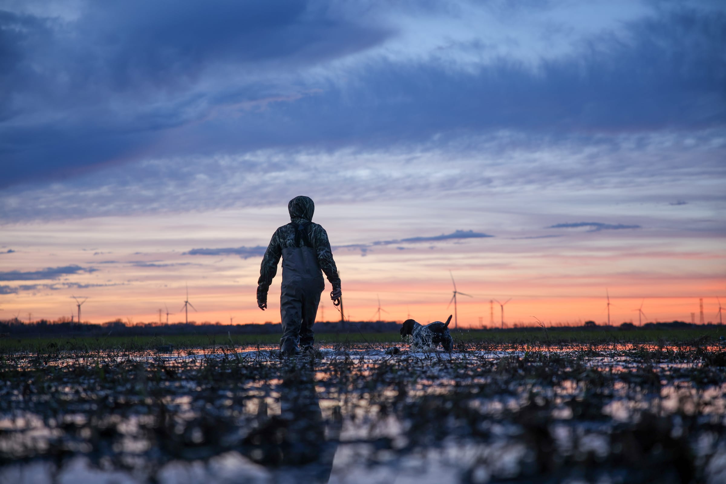 Person and dog walking at sunset